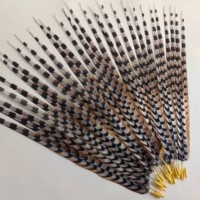 Plumes artificielles de faisan Reeves 40-150 cm - Couleurs et tailles personnalisées pour costumes de carnaval, coiffes et décorations de fête