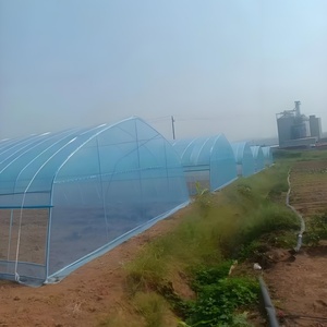 Sıcak satış sera için Hoop House Tunneling büyüyen sebze için tek açıklıklı tarım sera