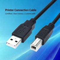 Câble de charge personnalisé à faible coût via la production en série avec un prix compétitif