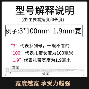 NlzD Self-Locking Nylon Cable Ties 8cm 10cm 12cm 15cm 20cm Customizable Factory Direct - Product Image 5