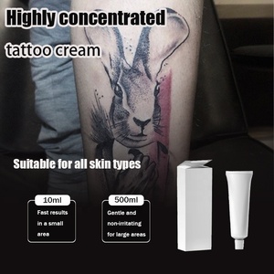 2025 Innovadora crema de tatuaje Pro-tinta de Color vibrante y plantillas de arte corporal para PMU Studios lápiz de cejas tinta tatuaje pluma mapeo - Product Image 2