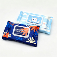 Lingettes humides biodégradables non tissées jetables pour toilettes, 48 lingettes personnalisées à l'aloe vera pour le nettoyage des fesses à usage domestique