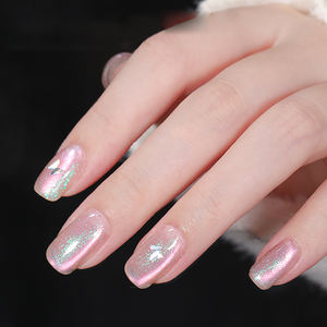 AILANUO Esmalte de Uñas Ojo de Gato Efecto Ártico de 6 Colores - Esmalte de Uñas en Gel Ojo de Gato OEM/ODM - Libre de Hema y TPO, Venta al por Mayor de Suministros para Arte de Uñas - Product Image 1