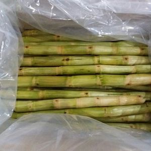 VDELTA FROZEN SUGARCANE <b>STICKS</b> FROM VIETNAM - Product Image 5