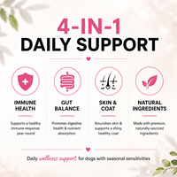 Complément alimentaire pour animaux de compagnie en gros : Friandises à mâcher molles pour chiens contre les allergies, avec colostrum et quercétine pour le soutien des sensibilités saisonnières (OEM)