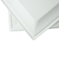 Assiettes écologiques de 10 pouces pour les fêtes, assiettes en papier écologiques jetables, assiettes carrées en bagasse pour le déjeuner