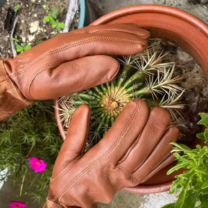Élagage en peau de mouton Rose Gants de jardinage tendres Résistant à l'usure Stab-proof Gants longs résistants aux coupures Apiculture Gants écologiques - Product Image 3