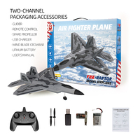 Avion télécommandé planeur RC modèle de chasseur F22 2.4G 3 canaux 200m de distance de contrôle prêt à l'emploi avec chargeur et batteries pour 10