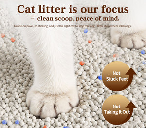 Fabricant de litière pour chat en bentonite OEM, ultra fine, à agglomération rapide, faible teneur en poussière, avec charbon actif - Product Image 6