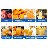Automatische Oranje Citrus Mandarijnsap Productielijn/Oranje Citrus Mandarijn Sap Verwerking Lijn Van A Tot Z