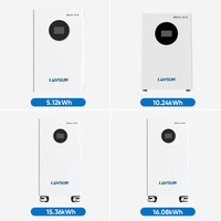 Batterie Lifepo4 16kwh 15kwh avec protection IP65, 51.2V 314AH, BMS intelligent, compatible avec les onduleurs courants