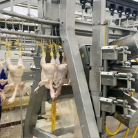 800-2000BPH Caille Automatique D'abattoir De Volaille Équipement D'abattoir
