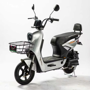 Bicicleta Eléctrica China de Diseño Clásico de 14 Pulgadas con Motor Trasero sin Escobillas de 500W, Pantalla Digital de 3 Velocidades y Batería de Litio, Envío Gratis - Product Image 4
