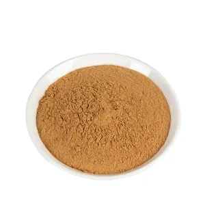 Hot Selling Olive Leaf Extract 50%Oleuropein Powder Hydroxytyrosol