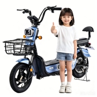 Vélos électriques pour adultes 48V 350W/500W avec pédalage assisté, vélos de ville électriques, motos électriques – Vente en gros usine OEM ODM