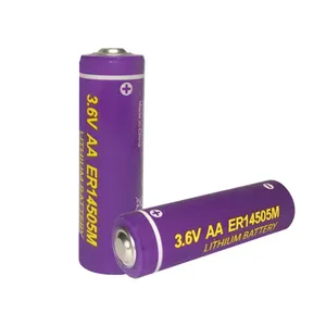 Merek PKCELL Tidak Dapat Diisi Ulang Baterai ER14505 Er14505h 3.6V Baterai Lithium AA 3.6Volt 2400MAh