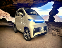 Voiture Électrique Cabine EEC L6e Haute Qualité pour Adultes, Scooter 4 Roues Sans Permis de Conduire, Véhicule à Énergie Nouvelle, 55km/h, Autonomie 80-130km, 2-3 Personnes
