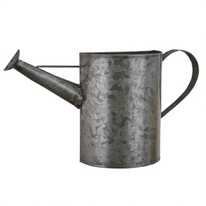 Regadera de diseño clásico en hojalata galvanizada, regadera de tamaño y forma personalizados a un precio asequible. - Product Image 1