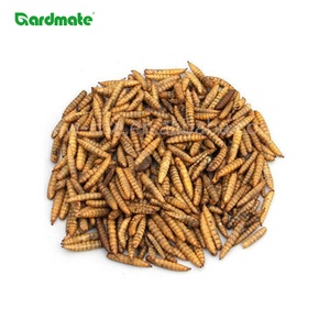 GARDMATE 1KG Larves de mouche soldat noire séchées de qualité supérieure pour oiseaux - Nourriture pour oiseaux riche en protéines et en matières grasses - Product Image 4