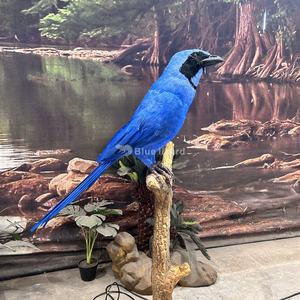 Blu lucertola parco a tema su misura di uccello animato Animatronic animale uccello africano con 3D stampato testa e artigli - Product Image 2