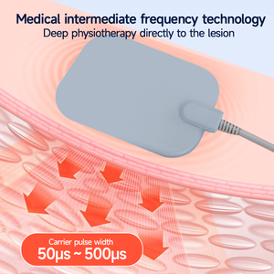 Mesin Fisioterapi Frekuensi Menengah Portabel dengan 60 Resep Terapi Mesin Fisioterapi untuk Menghilangkan Rasa Sakit - Product Image 5