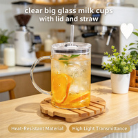Tasse à boisson en verre borosilicate transparent, grande, faite à la main, écologique, avec couvercle, paille et poignée – Meilleure vente