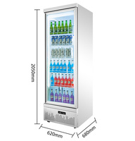 Réfrigérateur industriel Green Health pour boissons Congélateur Réfrigérateur pour boissons Bière Réfrigérateur pour bar