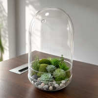 Terrarium en verre borosilicate fait main avec couvercle en verre et trou de ventilation, récipient transparent pour exposition de plantes