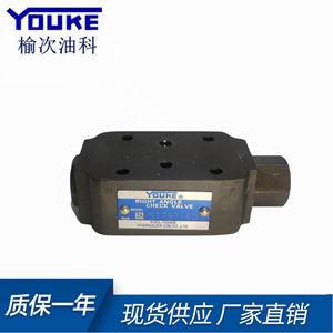 วาล์วตรวจสอบมุมฉาก Youke รุ่น P028 วาล์วไฮดรอลิกเหล็กหล่อ โครงสร้างแบบซ้อน - Product Image 2
