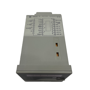Controlador de Señal Analógica, Unidad Programable Multifunción con Comunicación RS232, Acondicionamiento de Señal de Sensor RD-50R - Product Image 4