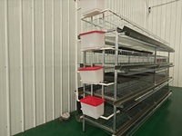 Cage à poulets de type H en fil de fer galvanisé soudé, système complet d'élevage avicole
