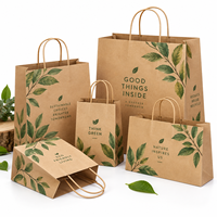 Sac en papier kraft brun écologique avec poignée torsadée, design vierge, pour emballage cadeau, vente en gros
