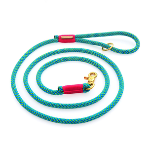 Nuevos productos para mascotas perro cuerda de escalada correas - Product Image 1