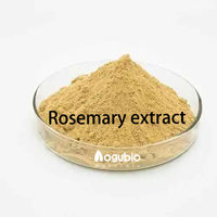 Extrait de feuille de romarin de haute qualité Rosmarinus Officinalis extrait de romarin 5% 10% 98% acide rosmarinique