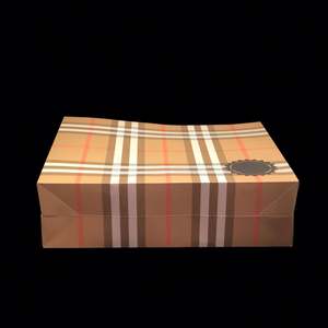 Bolsa de Papel para Regalo con Logotipo Impreso Personalizado para Zapatos, Ropa, Compras, Regalos de Boda, Joyería, con Asas de Listón - Product Image 5