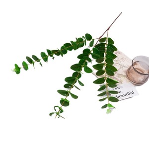 Rama de Planta Artificial con Tres Ramificaciones de Hojas Verdes de Árbol del Dinero, de 30cm-100cm, para Decoración de Bodas, Moldeada por Inyección de Plástico - Product Image 5