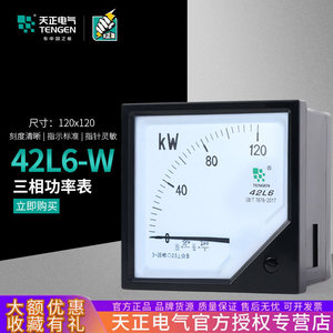 Compteur de puissance actif Tengen 42L6 380V triphasé 120x120mm Classe 1.0 Précision - Product Image 2