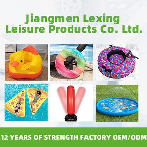 Custom Dinosaur Plane <strong>Robot</strong> Shape Inflatable Toy for Kids Sensory Training Educational Indoor Outdoor Safe - Product Image 6