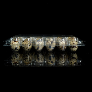 Shengyiyuan 18 20 24 30 Holes Clear Disposable Clamshell Plastic Packaging <strong>Quail</strong> <strong>Egg</strong> Trays - Product Image 4