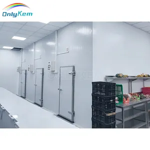 Warehouse Cold Storage for Ice Cream with Polyurethane Sandwich Panel -  China Cold Storage, Cold Room