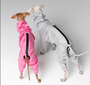 <span class=keywords><strong>Chubasquero</strong></span> para perros personalizado fabricante nuevo diseño elegante cómodo impermeable cálido ligero sudaderas con capucha impermeable <span class=keywords><strong>Galgo</strong></span> para mascotas - Product Image 2