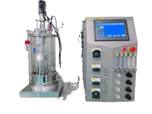 Laboratorio GMP Escala Benchtop Doble capa de vidrio con camisa Biorreactor Matraz cuerpo del tanque 10L Fermentador BLBIO-10GCA - Product Image 5