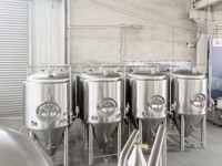 Réservoir de fermentation de 1000 L en acier inoxydable SUS 304, fermentateur à double enveloppe, unité conique, équipement de brassage de bière artisanale, réservoir de stockage
