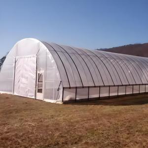 Grande serre commerciale à portée unique, alimentée à l'énergie solaire, avec récolte automatisée, couverture en film PE transparent et structure stable pour les légumes-feuilles - Product Image 2