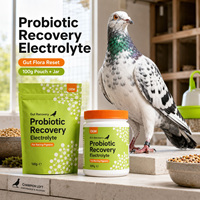 Électrolytes Premium pour Pigeons de Course : Réhydratation Rapide, Récupération Post-Compétition et Boost d'Énergie – Marque Privée, OEM, Direct Usine