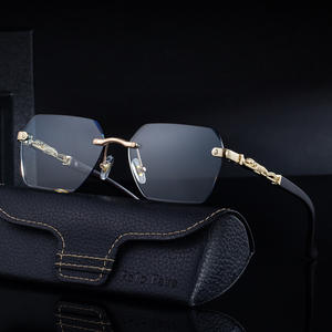 Lunettes de soleil photochromiques Polo Haus pour homme, protection UV400, verres PC classe 2, monture noire, branches dorées-blanches à gris - Product Image 1