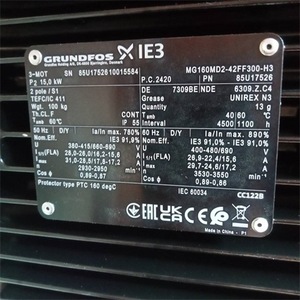มอเตอร์ Grundfos Mg160md2-42ff300 H 3 เฟส ขนาด 60 มม. ปั๊มน้ำอุตสาหกรรมไฟฟ้า - Product Image 1