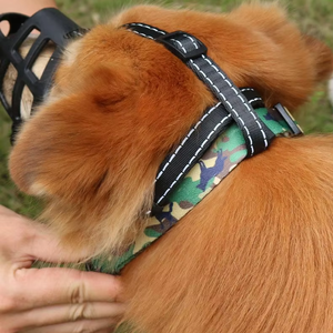 Bozales para Perros al por Mayor, de TPR Suave y Nailon Transpirable, Ajustables, Anti-Ladridos y Mordeduras, <span class=keywords><strong>Protector</strong></span> Bucal para Perros - Product Image 3