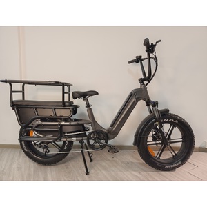 จักรยานไฟฟ้า Zerogo 2025 C1 รุ่น E-Cargo สำหรับครอบครัว ขายดีที่สุดในเมือง เหมาะสำหรับผู้หญิง จัดส่งจากคลังสินค้าในยุโรป รุ่น E7 มอเตอร์ฮับหลัง E7 - Product Image 3