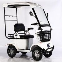 Scooter électrique LEO deux places avec batterie au plomb-acide 60V, certifié CE, autonomie 30km, vitesse 30km/h, nouveau chargeur intelligent, idéal pour le golf